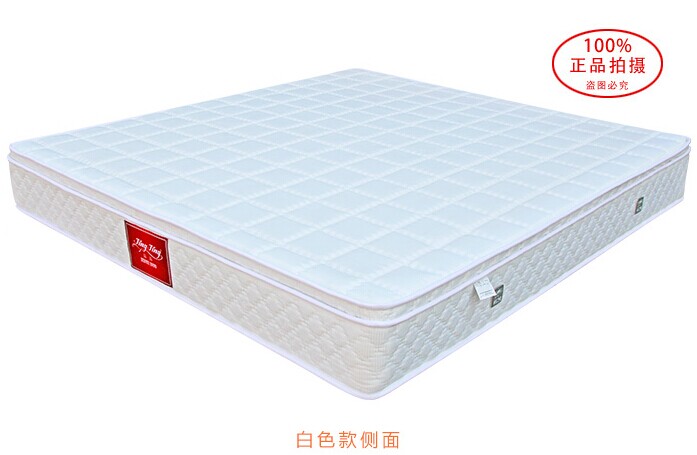 晶晶床垫-天璇星3D环保椰棕弹簧席梦思床垫